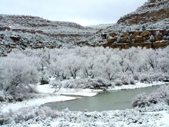 Snowed in Simon Canyon on the San Juan River at Navajo Dam in northwestern New Mexico.