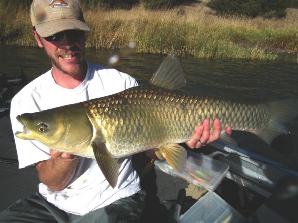 man shows off grass carp 