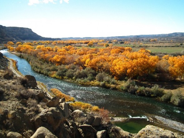 The San Juan River flowing south below the village of Navajo Dam.