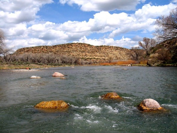 A view from in the water of the San Juan River in New Mexico.