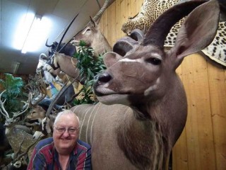 D.L. Gruben poses with his favorite mount, a Greater Kudu.