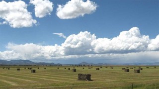 A San Luis Valley, Colorado, farm.