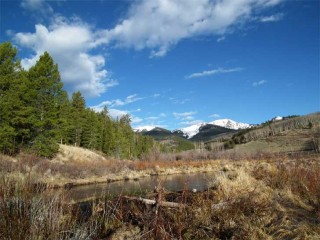 Beaver ponds on Brewery Creek provide a home for native trout.