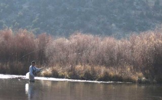 A lone angler fishes a quiet back channel of the San Juan River.