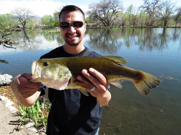 Leo Salcido of  Albuquerque, shows of a nice, fat, bigmouth bass he caught  at Shady Lakes.