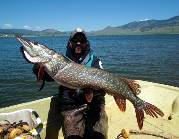 man with huge pike 