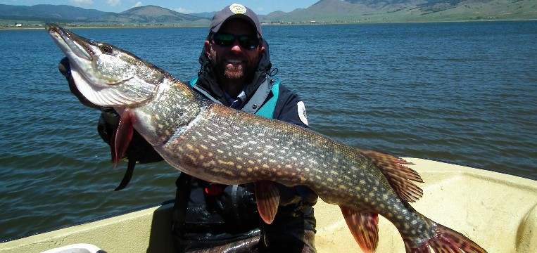 man with huge pike