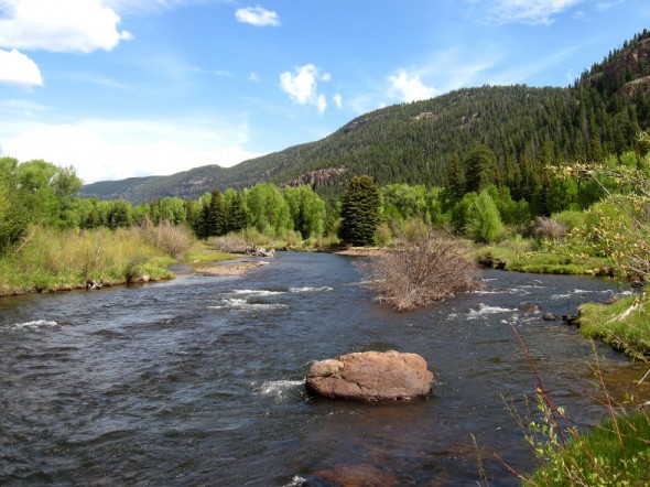 conejos river colorado 