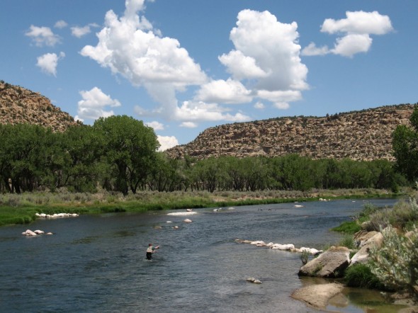 angler fishing in San Juan River 