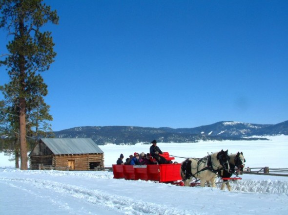 A horse drawn sleigh in the snow at Valles Caldera National Preserve in northern New Mexico.