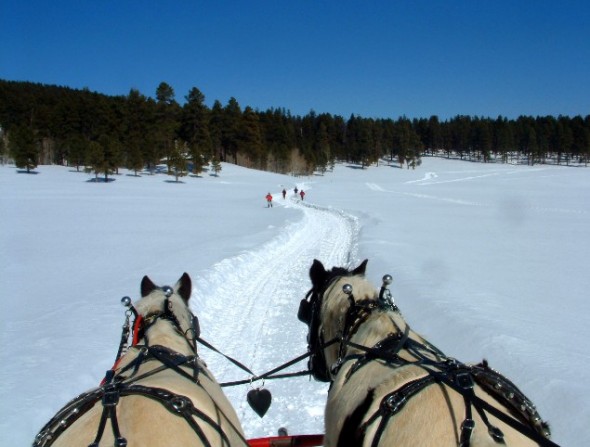 The view from a horse drawn sleigh on a trail ride at the Valles Caldera National Preserve. 