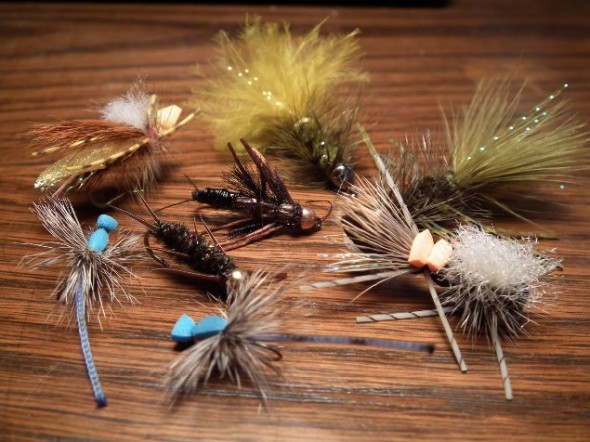 Assortment of dry flies for fishing.