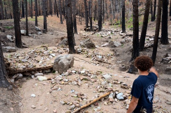 Scorched trees, rocks and other debris from floods in burned forest.