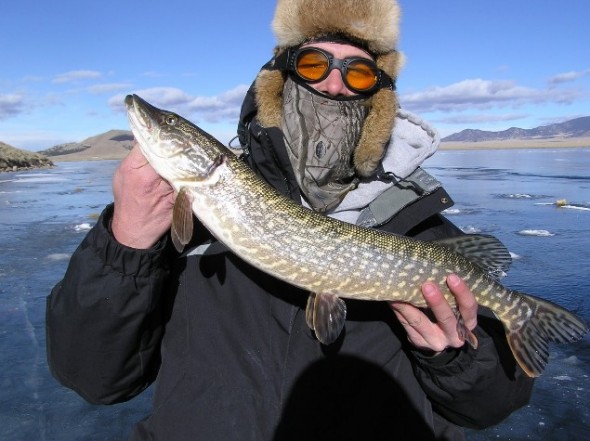 Matt Pelletier holds up a Pike caught while ice fishing. 