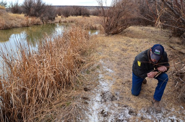 man kneeling on riverbank  looking at animal tracks 