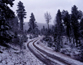 snowy forest road