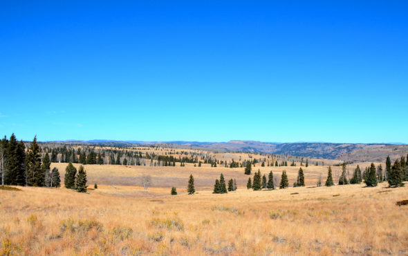 Scenic view off Forest Road 87 in Carson National Forest 