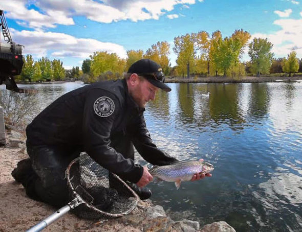 N.M. Dept. of Game and Fish stocks a large trout at Tingle Beach