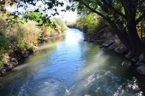 Prime trout habitat on an Albuquerque area drain.