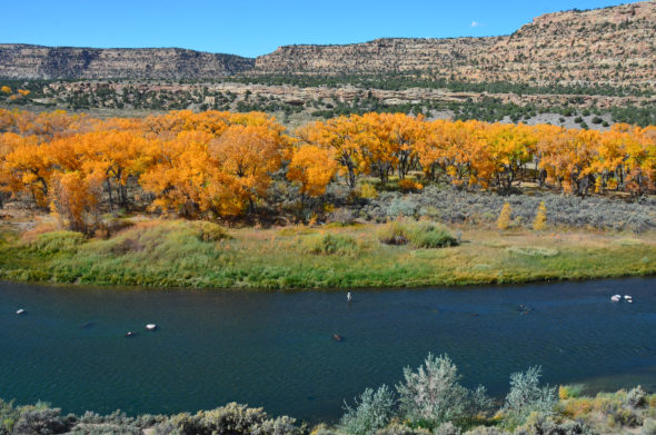 San Juan River below Simon Canyon