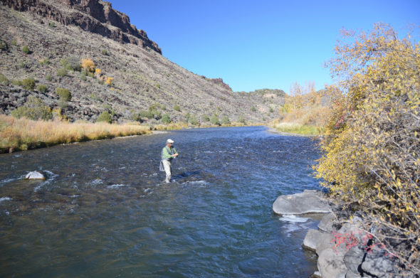 Angler fly-fishing on the Rio Grande in N.M.