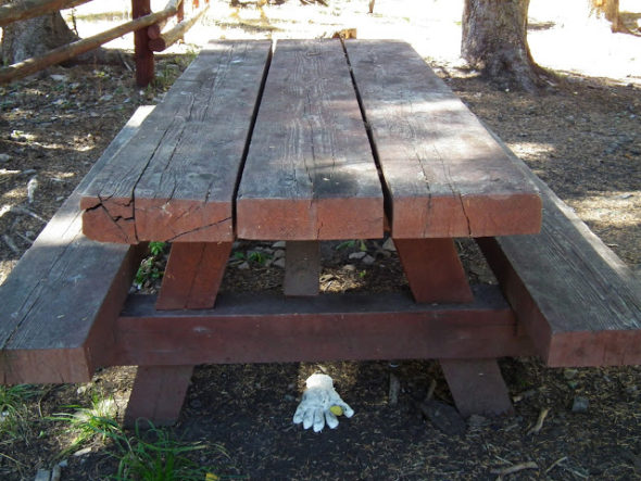 white glove under picnic table